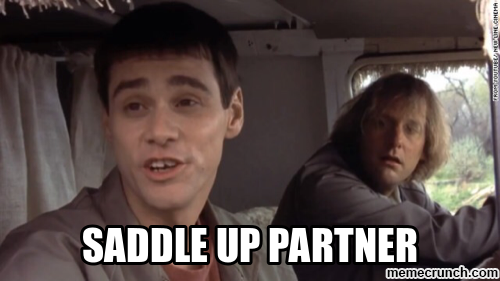 Image result for saddle up partner gif